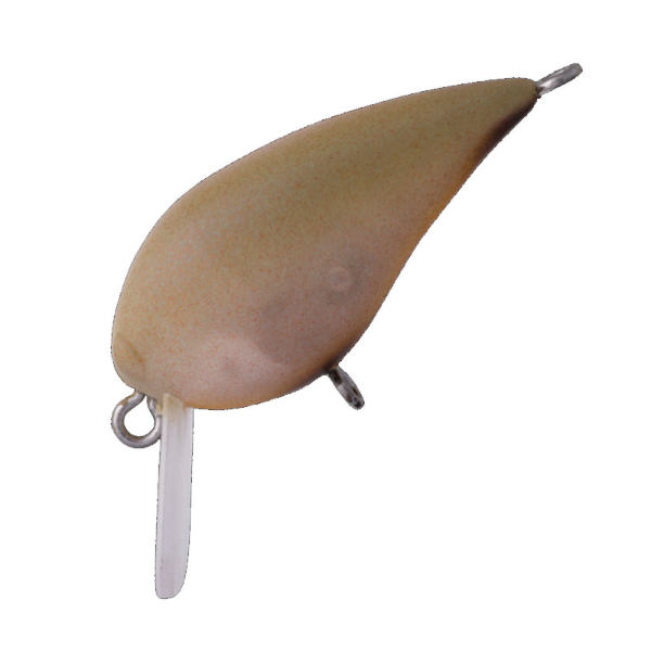 ＭＩＮＩ　ＫＵＲＡ　Ｆ(＃１２　監督ＭＧ)